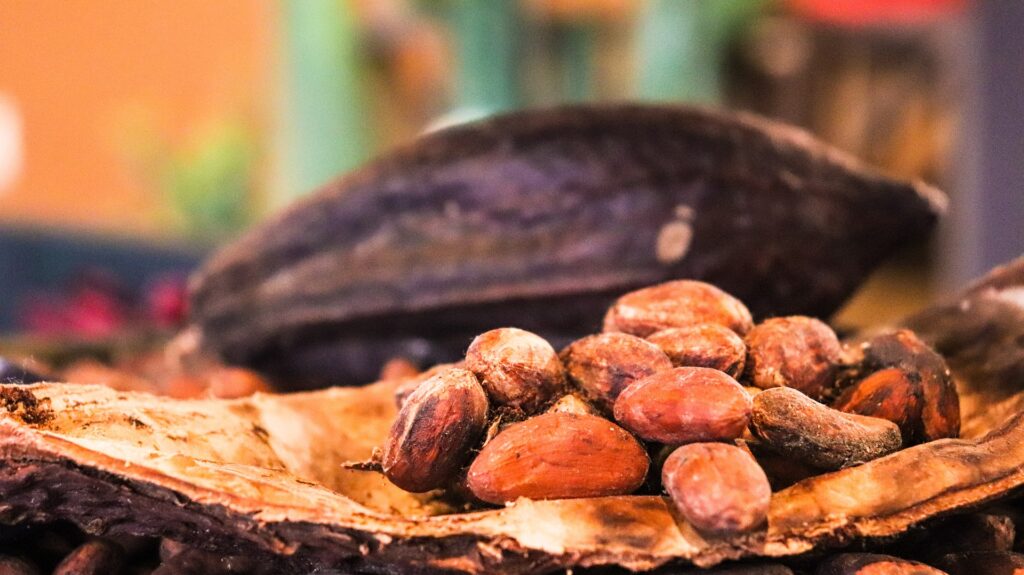 Cocoa beans close up.